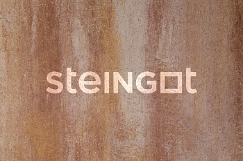 ���������� ������ Steingot ������ "����� ���� Safari �9"